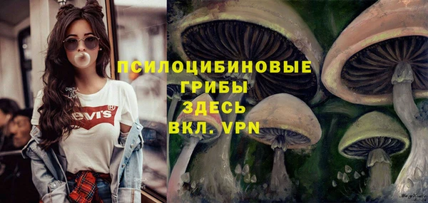 apvp Балахна